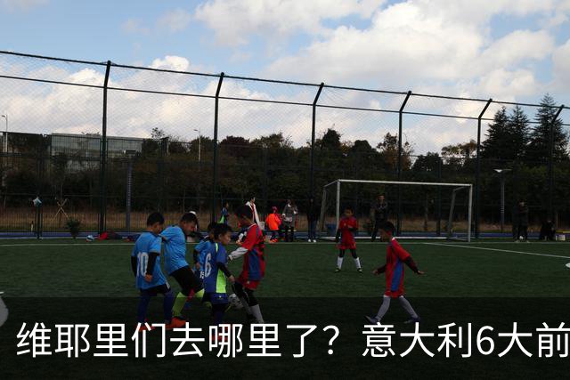 维耶里们去哪里了？意大利6大前锋没一个在踢欧冠